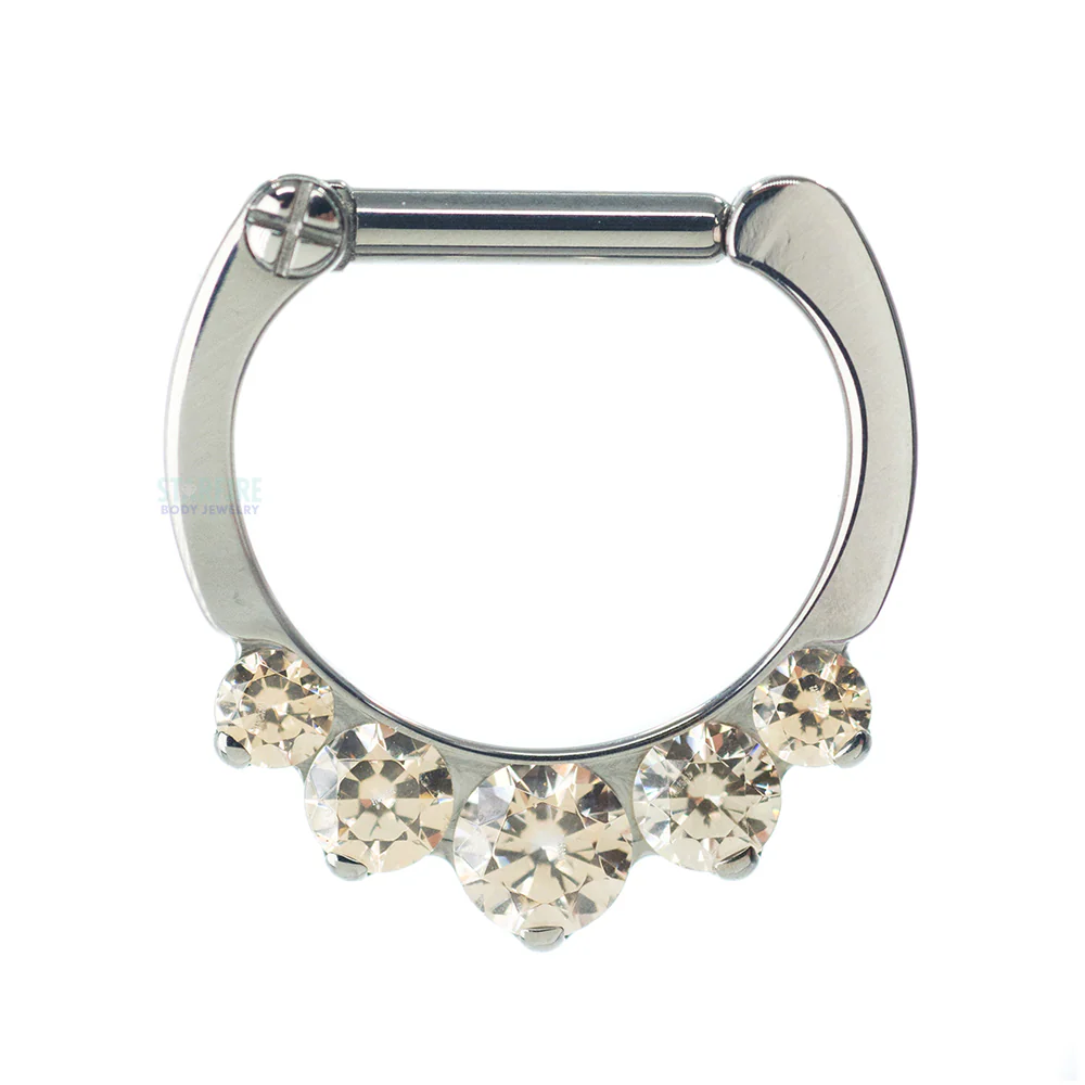 "Odyssey" Clicker #6 with 5 Graduated Faceted Gems- 16 ga. 1/4" post - Image 10