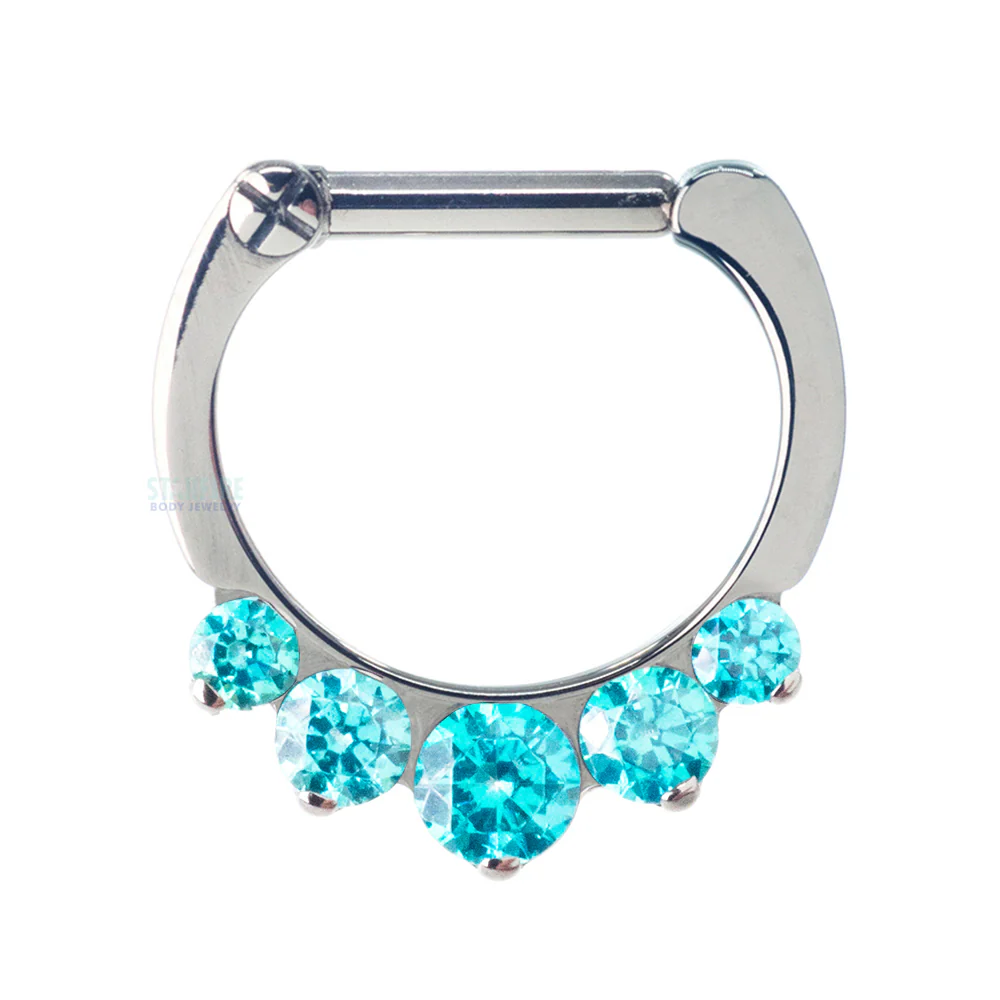 "Odyssey" Clicker #6 with 5 Graduated Faceted Gems- 16 ga. 1/4" post - Image 12