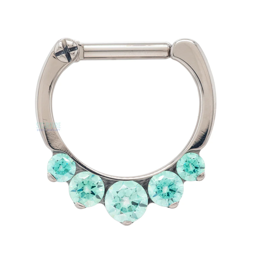 "Odyssey" Clicker #6 with 5 Graduated Faceted Gems- 16 ga. 1/4" post - Image 13