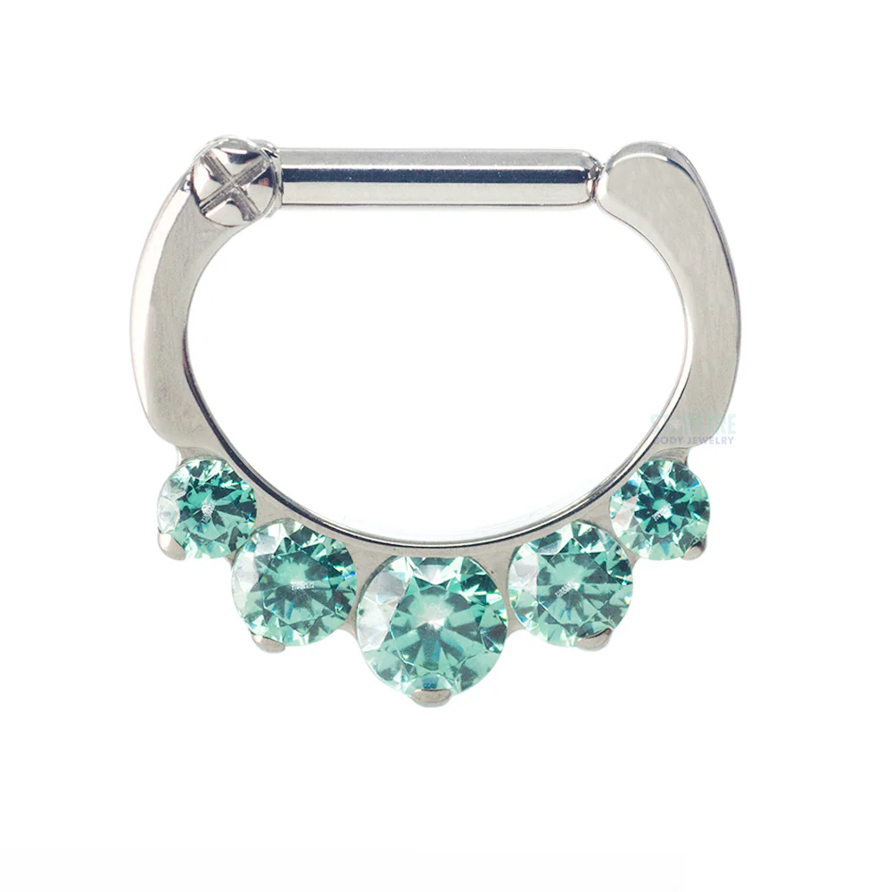 "Odyssey" Clicker #6 with 5 Graduated Faceted Gems- 16 ga. 1/4" post - Image 8